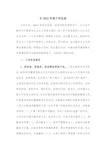 乡20XX年度工作总结