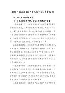 县综合行政执法局2023年工作总结和2024年工作计划