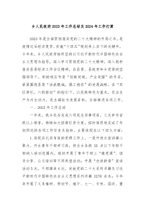 乡人民政府20XX年工作总结及2024年工作打算