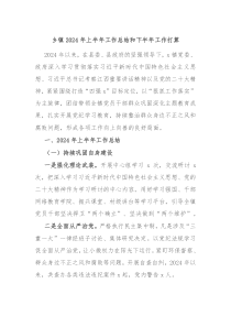 乡镇2024年上半年工作总结和下半年工作打算