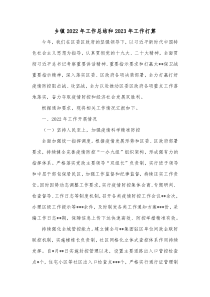乡镇20XX年工作总结和20XX年工作打算
