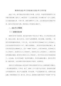 商务局2022年工作总结与2023年工作计划