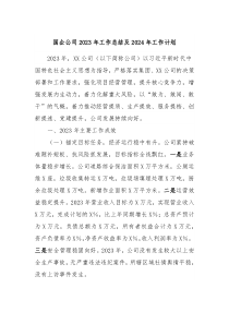 国企公司2023年工作总结及2024年工作计划