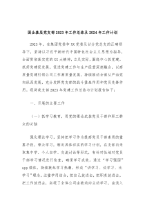 国企基层党支部2023年工作总结及2024年工作计划