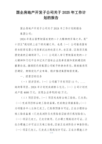 国企房地产开发子公司关于2025年工作计划的报告