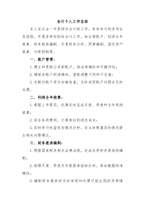 会计个人工作总结