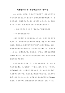 城管局2022年工作总结及2023工作计划