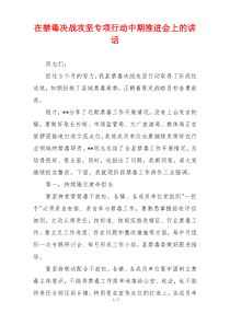在禁毒决战攻坚专项行动中期推进会上的讲话