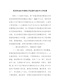 党支部20XX年党建工作总结和2024年工作打算