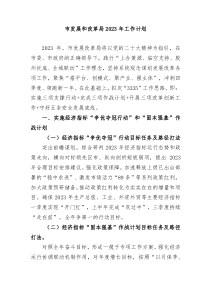 工作要点市发展和改革局2023年工作计划