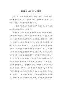 组织部长20XX年度述职报告