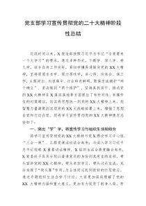党支部学习宣传贯彻党的二十大精神阶段性总结