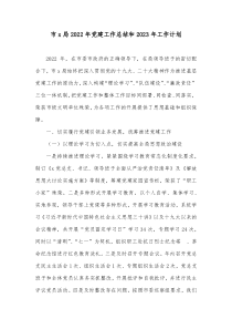市x局2022年党建工作总结和2023年工作计划