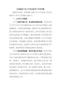全县组织工作上半年总结及下半年思路