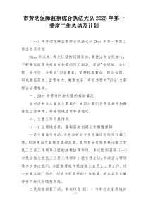 市劳动保障监察综合执法大队2025年第一季度工作总结及计划