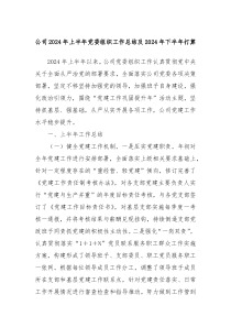 公司2024年上半年党委组织工作总结及2024年下半年打算
