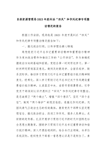 自然资源管理局20XX年度纠治四风和作风纪律专项整治情况的报告