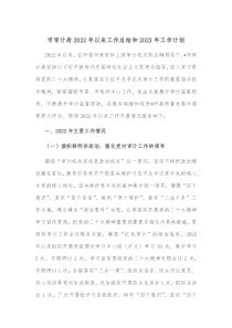 市审计局2022年以来工作总结和2023年工作计划