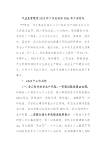 市应急管理局2023年工作总结和2024年工作计划