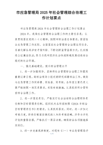 市应急管理局2025年社会管理综合治理工作计划要点