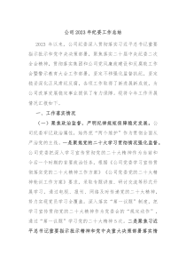 公司20XX年纪委工作总结