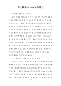 市文旅局2025年工作计划