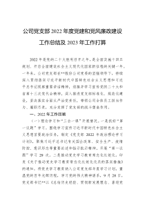 公司党支部20XX年度党建和党风廉政建设工作总结及20XX年工作打算