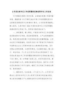 公司党支部书记工作述职暨抓党建述职评议工作总结