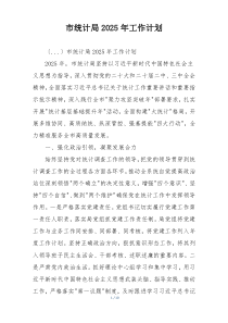 市统计局2025年工作计划
