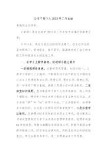 公司干部个人20XX年工作总结
