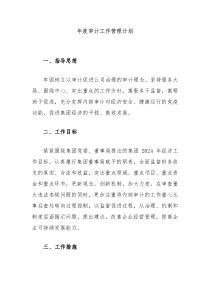 年度审计工作管理计划