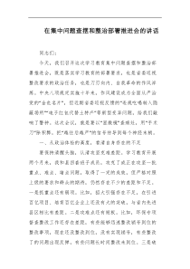 在集中问题查摆和整治部署推进会的讲话