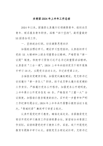 共青团2024年上半年工作总结