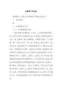 共青团工作总结