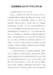 应急管理局2025年下半年工作计划