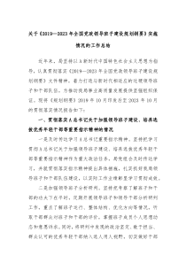 关于201920XX年全国党政领导班子建设规划纲要实施情况的工作总结