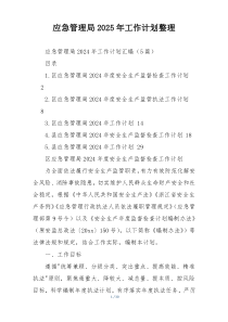 应急管理局2025年工作计划整理
