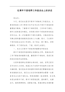 在青年干部培养工作座谈会上的讲话