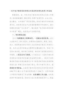 关于电子商务进农村综合示范县项目深化改革工作总结