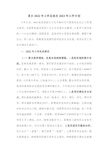 某乡2022年工作总结及2023年工作计划