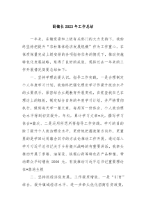 副镇长20XX年工作总结