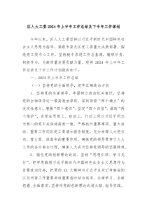 区人大工委2024年上半年工作总结及下半年工作谋划