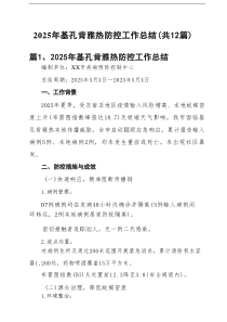 2025年基孔肯雅热防控工作总结（共12篇）