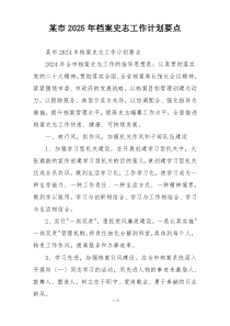 某市2025年档案史志工作计划要点