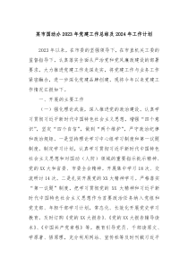 某市国动办2023年党建工作总结及2024年工作计划