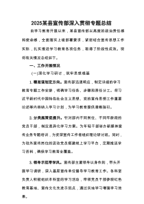 2025某县宣传部深入贯彻专题总结