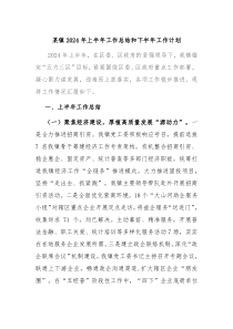 某镇2024年上半年工作总结和下半年工作计划