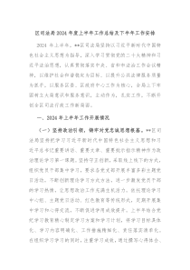 区司法局2024年度上半年工作总结及下半年工作安排