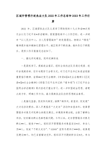 区城市管理行政执法大队20XX年工作总结和20XX年工作打算