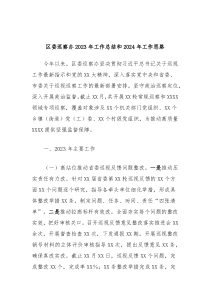 区委巡察办20XX年工作总结和2024年工作思路